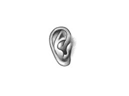 ear icon